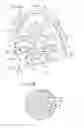 Fig. 04 - Structure for front foot portion of upper of shoe