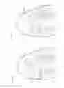 Fig. 13 - Structure for front foot portion of upper of shoe