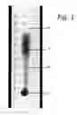 Fig. 02 - Soot bench test