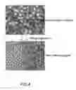 Fig. 05 - Process for production of composite fine particles with heterogeneous surfaces