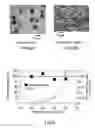 Fig. 06 - Process for production of composite fine particles with heterogeneous surfaces