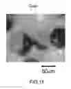 Fig. 09 - Process for production of composite fine particles with heterogeneous surfaces