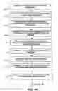 Fig. 05 - Systems and methods for personal identification number distribution and delivery