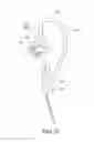 Fig. 10 - AURICLE-INSTALLED APPARATUS