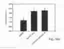 Fig. 45 - Promoters exhibiting endothelial cell specificity and methods of using same for regulation of angiogenesis