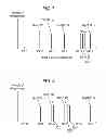 Fig. 07 - PROCESS FOR PRODUCING PLASMA DISPLAY PANEL