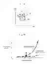 Fig. 08 - PROCESS FOR PRODUCING PLASMA DISPLAY PANEL