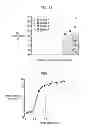 Fig. 09 - PROCESS FOR PRODUCING PLASMA DISPLAY PANEL