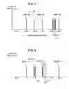 Fig. 06 - METHOD FOR PRODUCING PLASMA DISPLAY PANEL