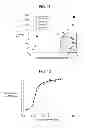 Fig. 08 - METHOD FOR PRODUCING PLASMA DISPLAY PANEL