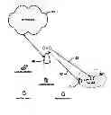 Fig. 01 - Method and apparatus for providing machine-to-machine communication in a wireless network