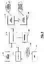 Fig. 06 - Advanced user interface operations in a dual-mode wireless device