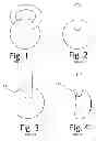 Fig. 02 - ERGONOMICALLY SHAPED KETTLEBELL