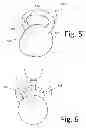 Fig. 03 - ERGONOMICALLY SHAPED KETTLEBELL
