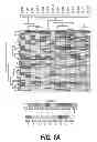 Fig. 02 - Compositions and Methods for Identifying Autism Spectrum Disorders