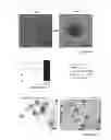 Fig. 08 - CULTURE METHOD, EVALUATION METHOD AND STORAGE METHOD FOR CANCER-TISSUE-DERIVED CELL MASS OR AGGREGATED CANCER CELL MASS