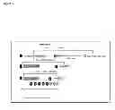 Fig. 02 - Circulating miRNA biomaker signatures