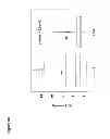 Fig. 07 - Circulating miRNA biomaker signatures