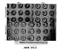 Fig. 09 - Method of enriching stem and/or progenitor cells