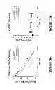 Fig. 32 - Multivalent fibronectin based scaffold domain proteins