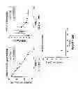 Fig. 33 - Multivalent fibronectin based scaffold domain proteins