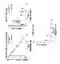Fig. 35 - Multivalent fibronectin based scaffold domain proteins