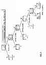 Fig. 07 - PREDICTION AND PREVENTION OF PREECLAMPSIA