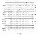 Fig. 12 - Compositions for improving bone mass