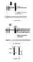 Fig. 16 - Compositions for improving bone mass