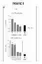 Fig. 07 - COMPOSITIONS AND MANUFACTURE OF MAMMALIAN STEM CELL-BASED COSMETICS