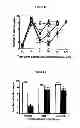 Fig. 09 - Synthetic peptide amides for pain