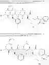 Fig. 20 - Synthetic peptide amides for pain
