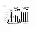 Fig. 06 - COMPOSITIONS AND METHODS FOR INHIBITING MMP-9-MEDIATED CELL MIGRATION