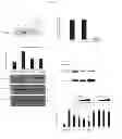 Fig. 07 - COMPOSITIONS AND METHODS FOR INHIBITING MMP-9-MEDIATED CELL MIGRATION