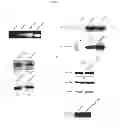 Fig. 09 - COMPOSITIONS AND METHODS FOR INHIBITING MMP-9-MEDIATED CELL MIGRATION