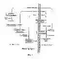 Fig. 02 - 7-hydroxy chromones as potent antioxidants