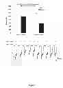 Fig. 02 - Receptor modulators exhibiting neuroprotective and memory enhancing activities