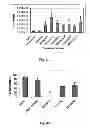Fig. 06 - Identification of free-B-ring flavonoids as potent COX-2 inhibitors