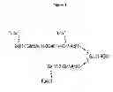 Fig. 02 - COMPOSITION AND METHODS OF INHIBITING GASTROINTESTINAL PATHOGEN INFECTION