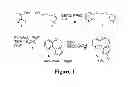 Fig. 02 - Benzoxepin PI3K inhibitor compounds and methods of use