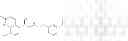 Fig. 239 - BI-FUNCTIONAL QUINOLINE ANALOGS