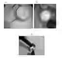 Fig. 01 - Methods for intracellular delivery of nucleic acids