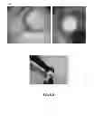 Fig. 02 - Methods for intracellular delivery of nucleic acids