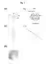 Fig. 02 - Method for producing porous material using antifreeze protein