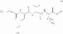 Fig. 03 - Cosmetic composition for stimulating the synthesis of proteins of the basement membrane