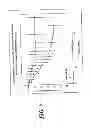 Fig. 06 - Sodium channel blockers