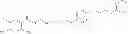 Fig. 40 - Sodium channel blockers