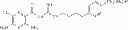 Fig. 46 - Sodium channel blockers