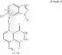 Fig. 02 - MICROWAVE INDUCED PHOTODYNAMIC THERAPY