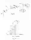 Fig. 03 - Illuminated suction apparatus